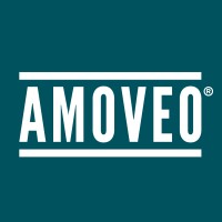 Amoveo logo - Similar company to Ebb Consultancy