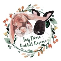 Ivy Dene Rabbit Rescue logo - Similar company to The Rabbit Sanctuary