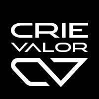 Crie Valor - Consultoria Estratéfica logo - Similar company to Allmo