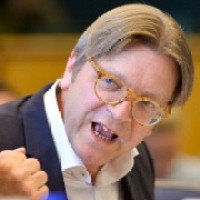 Guy Verhofstadt logo - Similar company to Gdw Scheir