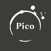 Pico Designs logo - Similar company to Movazi
