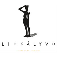 Liokalyvo logo - Similar company to Eden View Hotel