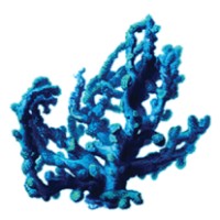 Reef Wealth Management logo - Similar company to Beach Financial Group