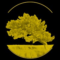 Emán Vara Gourmet logo - Similar company to Refresh Net