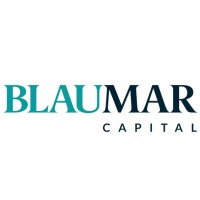 Blaumar Capital logo - Similar company to Lumvi