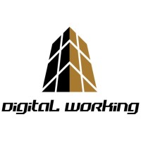 Digital Working Serviços Administrativos e Educacionais logo - Similar company to Jsd Informática