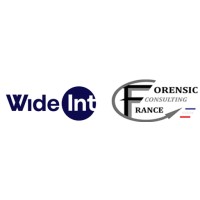 Wide-int Forensic Consulting France logo - Similar company to Ironflight.Ai