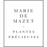 Marie de Mazet logo - Similar company to Bienfaits | Infusions D'Exception