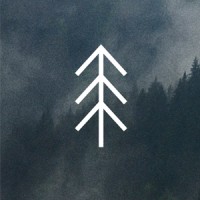 No Palm Trees logo - Similar company to Bulls