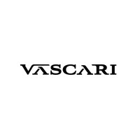 VASCARI logo - Similar company to Cybergoose