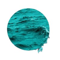 SocioThrob logo - Similar company to Martech Minds