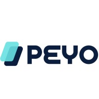 Peyo Solutions logo - Similar company to Ideas De Internet