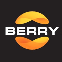 Berrysolutions logo - Similar company to Paystage