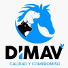 DIMAV logo - Similar company to Proalse