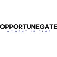 Opportune Gate logo - Similar company to Global Solutions Initiative