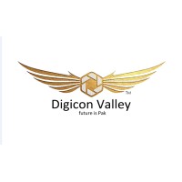 Digicon Valley Edu logo - Similar company to Digicon Valley (Project Of Arfa Karim Foundation)