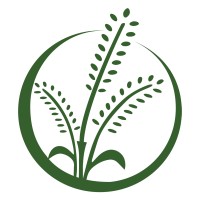 Chieftain Wild Rice Company logo - Similar company to Cgs Logistics
