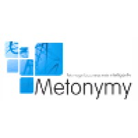 Metonymy Consulting, Llc