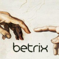 Betrix India logo - Similar company to Inkingideas