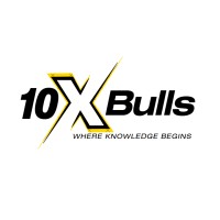 10x Bulls logo - Similar company to Speedy Solar Solutions