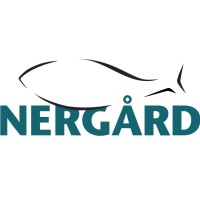 Nergård Group logo - Similar company to Ervik Group