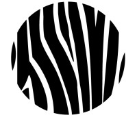 ZEBRA Consultants Ltd logo - Similar company to Drastyc