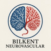 Bilkent Cerebrovascular&Neurosurgery Center logo - Similar company to Ars Grup