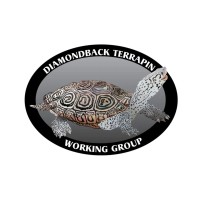 Diamondback Terrapin Working Group logo - Similar company to Accavallo & Company, Llc