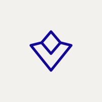 Vizonsol logo - Similar company to Digital Motion