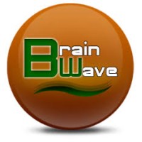 Brainwave University logo - Similar company to Xillient Services Llc