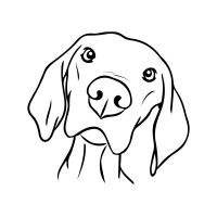 Letto Pets logo - Similar company to Marben Pets