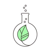 Roche Consulting