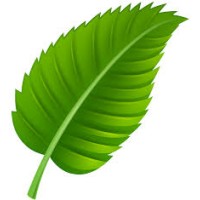 Green Leaf environmental solutions logo - Similar company to Greenleaf Environmental Services Llc