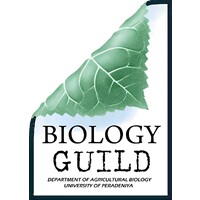 Biology Guild logo - Similar company to Strategizer