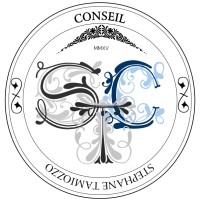 ST-Conseil logo - Similar company to Axel Systems