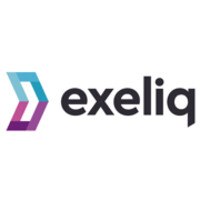 Exeliq Group logo - Similar company to Pitern