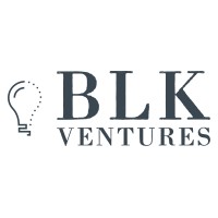 BLK Ventures logo - Similar company to Spinnaker Capital