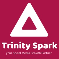 Trinity Spark logo - Similar company to Dam Techhub