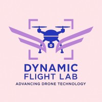 Dynamic Flight Lab logo - Similar company to Transformatory Research Collaborative