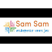 SamSam begeleiding logo - Similar company to Praktijk Dynamik