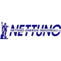 Nettuno Sinergie Industriali logo - Similar company to Database Informatica