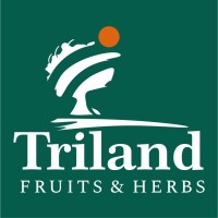TRILAND JSC logo - Similar company to Cargofort