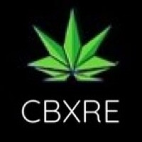 Buy & Sell Marijuana Domain Names Online | Hemp .THC 420 Domains For Sale - CBX® logo - Similar company to Huge Domains.Com