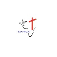 COPTIC MISSION HOSPITAL logo - Similar company to Cloudstation