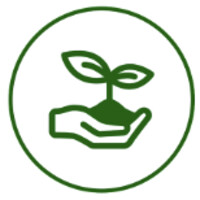 Pachira logo - Similar company to Cryptera