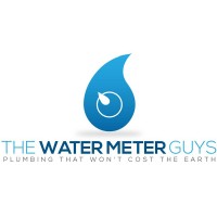 The Water Meter Guys logo - Similar company to Sindcon (Singapore) Iot Technology Pte Ltd