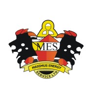 Maximus Energy Service Ltd logo - Similar company to Anietronic