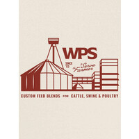 Wallace Performance Solutions logo - Similar company to Hail Dent Pro
