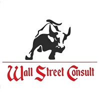Wall Street Consult logo - Similar company to Maximum Exposure Ltd