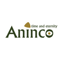 Aninco - Time & Eternity logo - Similar company to Serdes Technologies